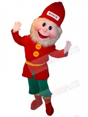 Red and Green Leprechaun Mascot Costume Cartoon