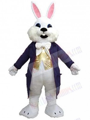 Easter Bunny mascot costume