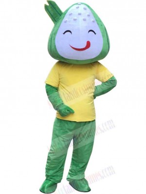 Hot Selling Happy Rice Dumpling Mascot Costume Food