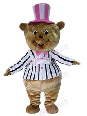 Amerikanisches Teddybär-Maskottchenkostüm für Erwachsene – Maskottchenköpfe