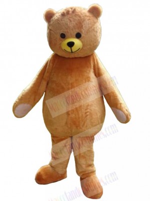 Bear mascot costume