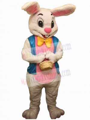 Friendly Bunny Rabbit Mascot Costume Animal