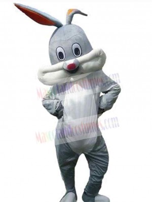 Likable Bunny Rabbit Mascot Costume Animal