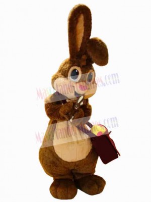 Little Easter Bunny Rabbit Mascot Costume Animal