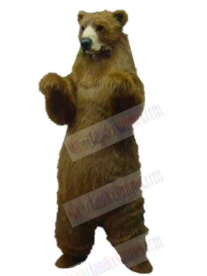 Bear mascot costume