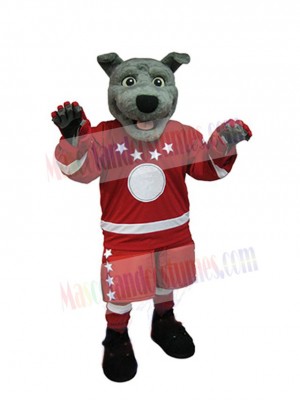 Sportliches graues Hundemaskottchenkostüm – Tier
