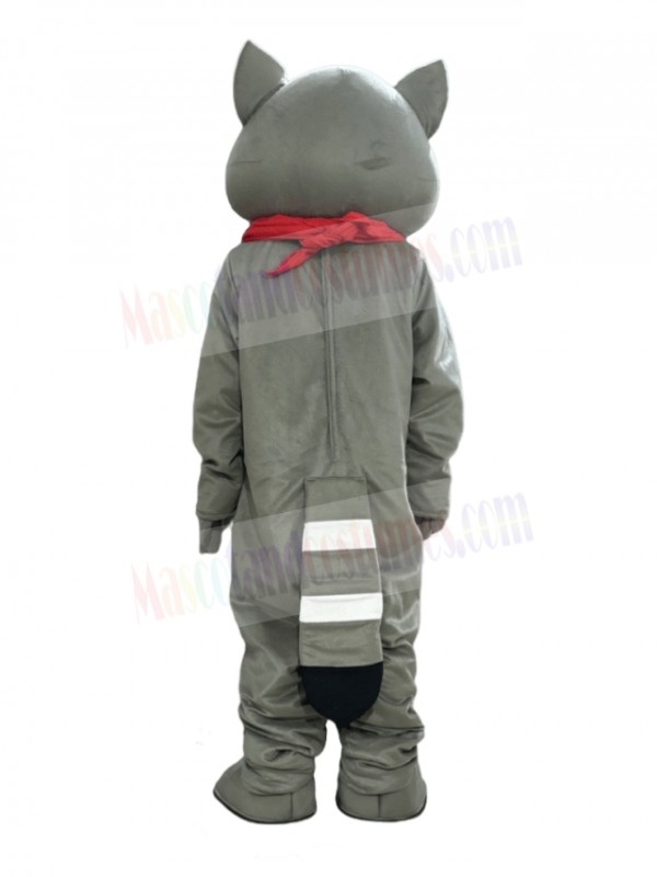 Raccoon mascot costume
