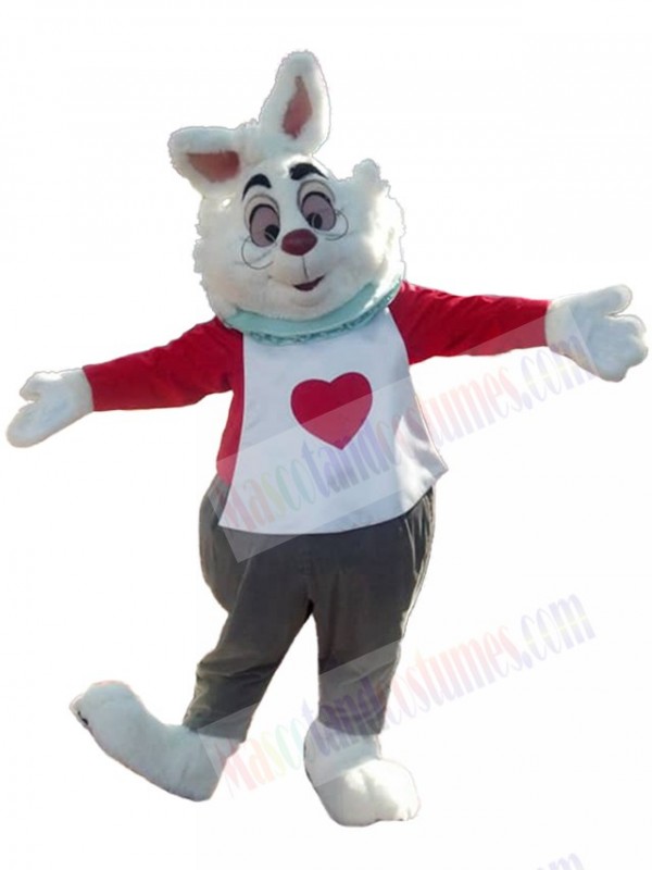 Rabbit mascot costume