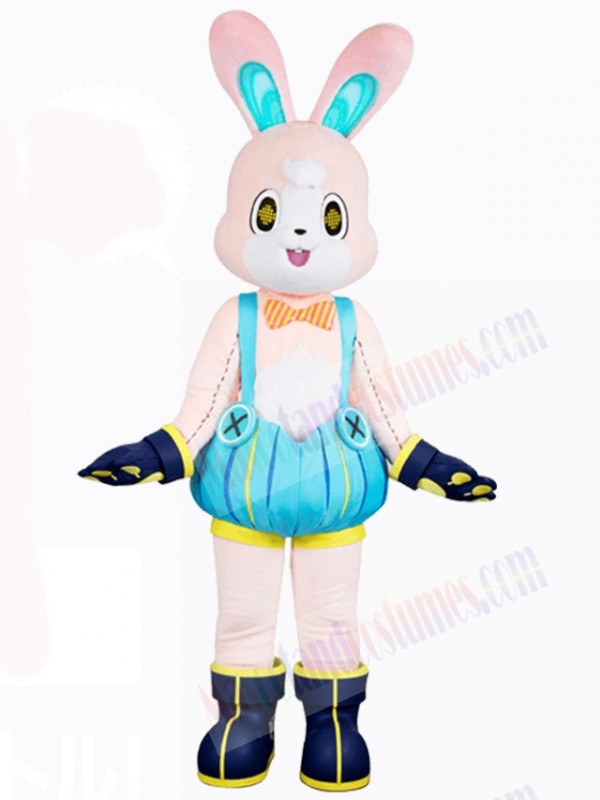 Easter Bunny Rabbit mascot costume
