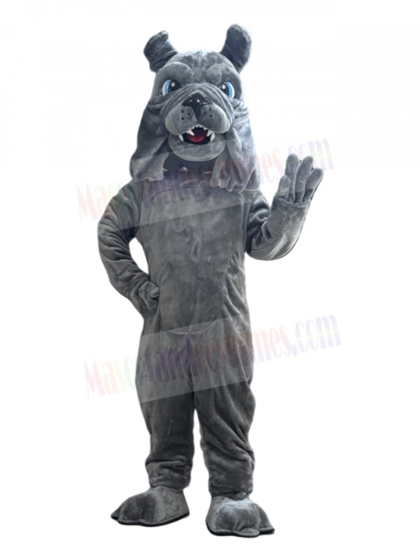 Bulldog mascot costume