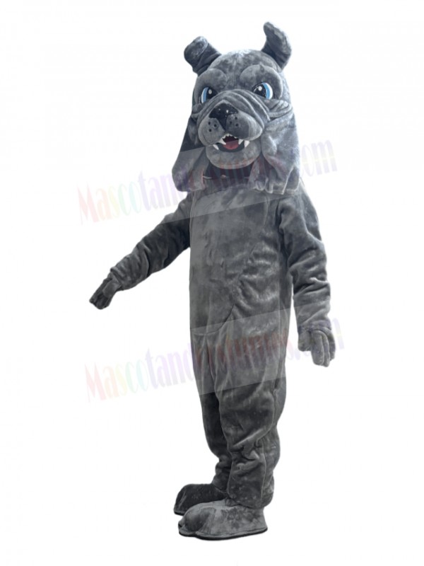 Bulldog mascot costume
