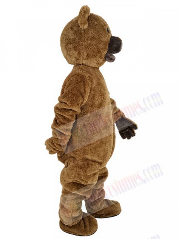 Bear mascot costume