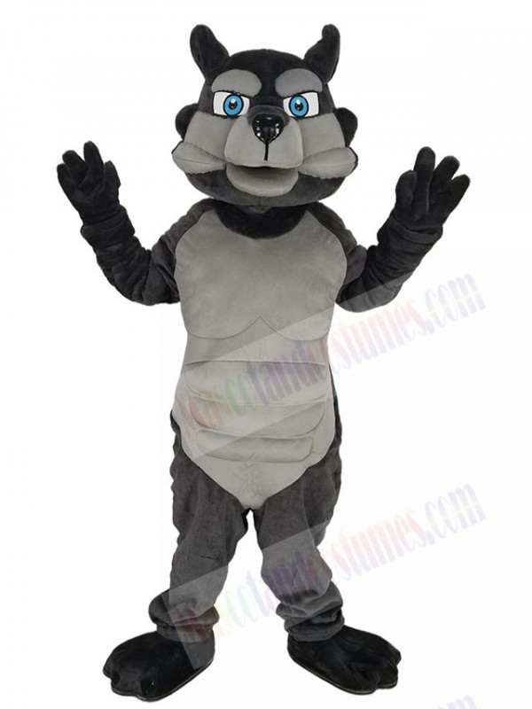 Wolf mascot costume