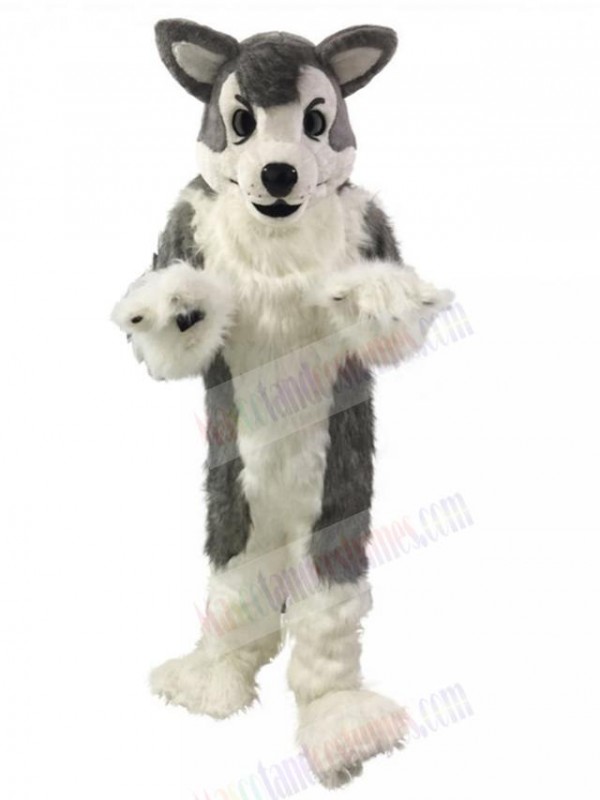 Dog mascot costume