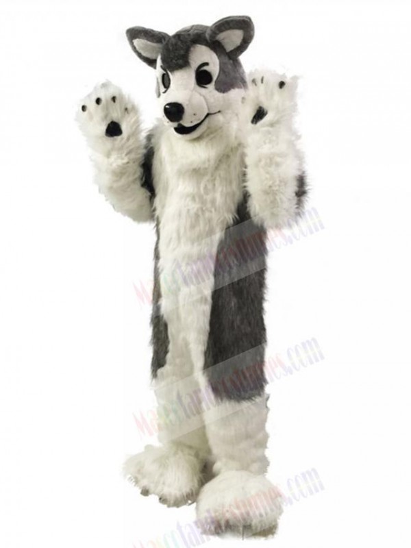 Dog mascot costume