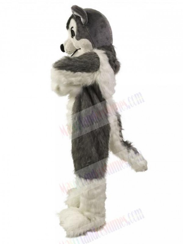 Dog mascot costume