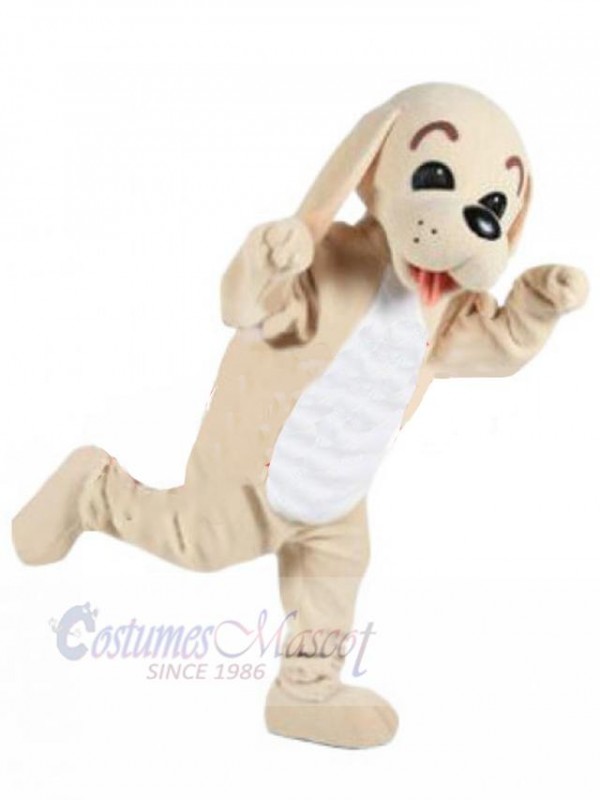 Dog mascot costume