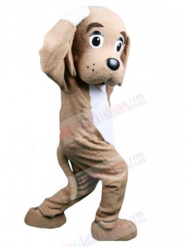 Dog mascot costume