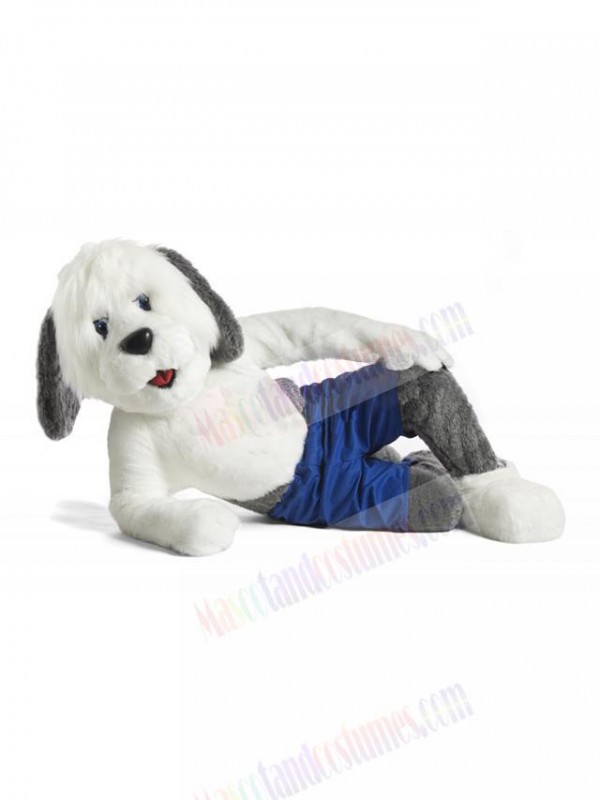 Dog mascot costume