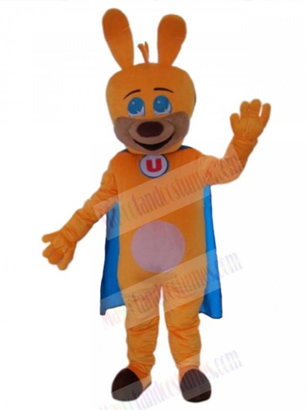 Dog mascot costume