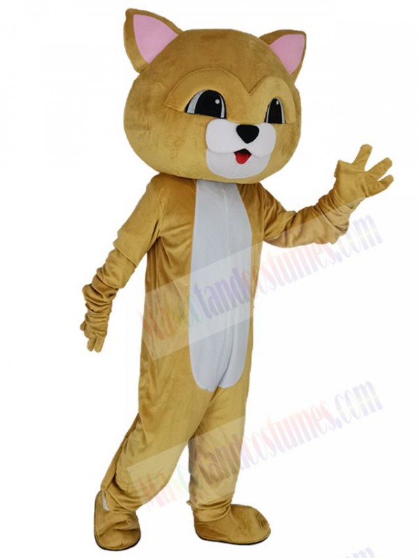 Cat mascot costume