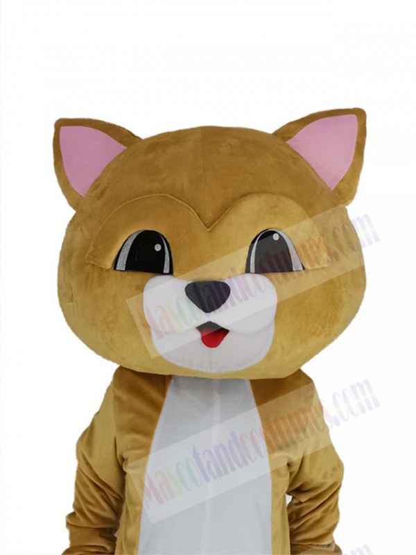 Cat mascot costume