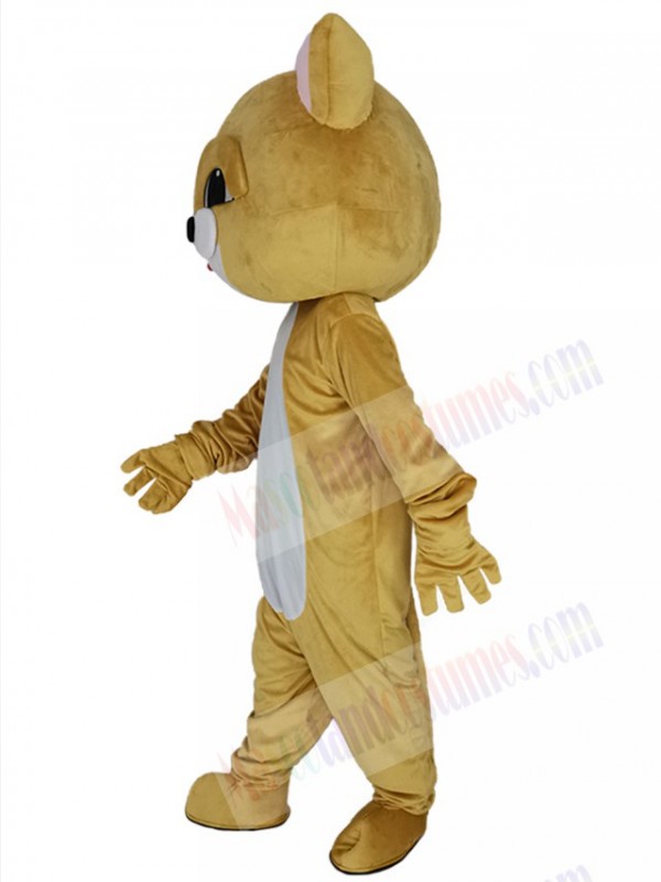 Cat mascot costume