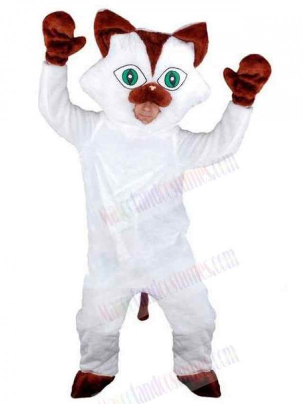 Cat mascot costume