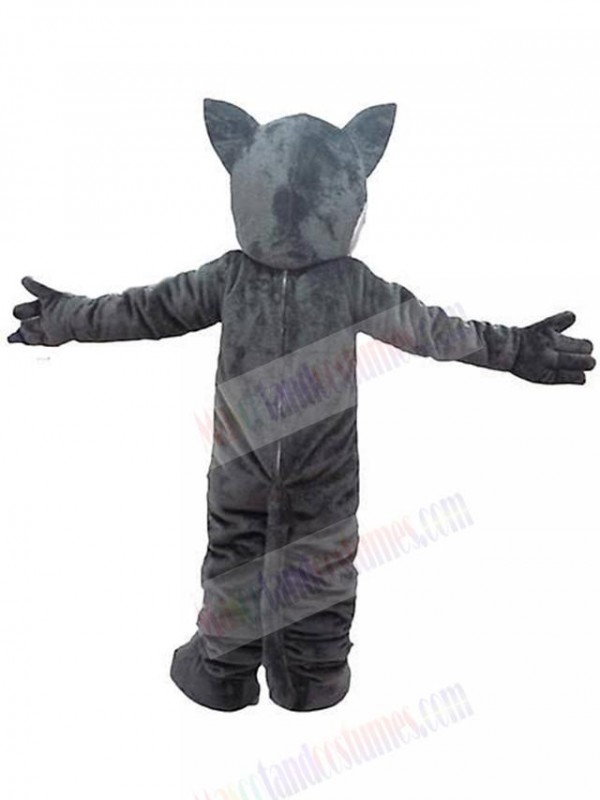 Wolf mascot costume
