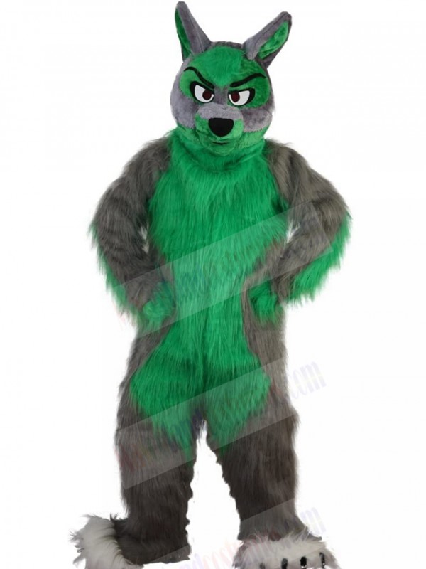 Wolf mascot costume