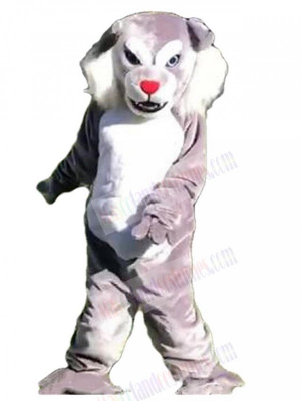 Wolf mascot costume