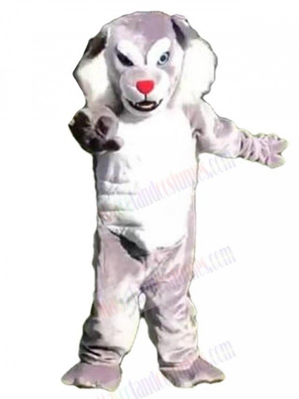 Wolf mascot costume