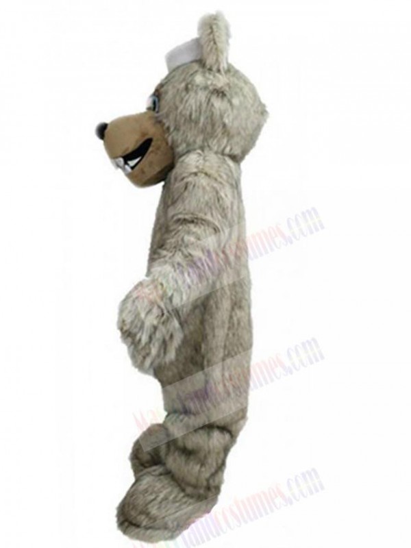 Wolf mascot costume