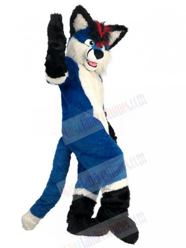 Wolf mascot costume
