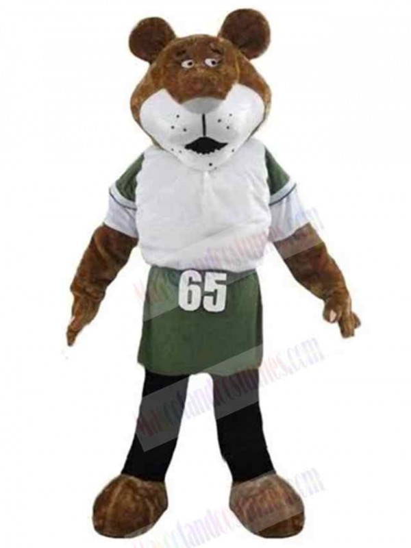 Tiger mascot costume