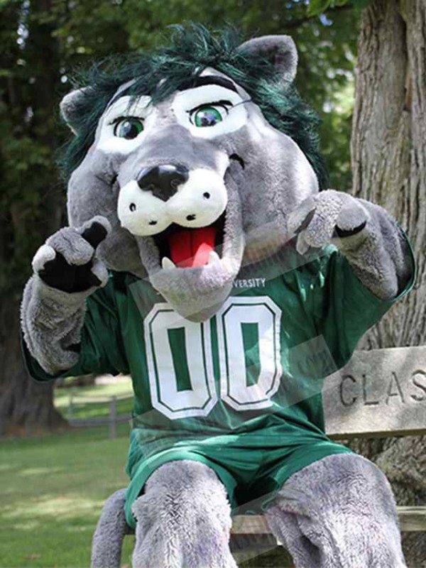 Lion mascot costume