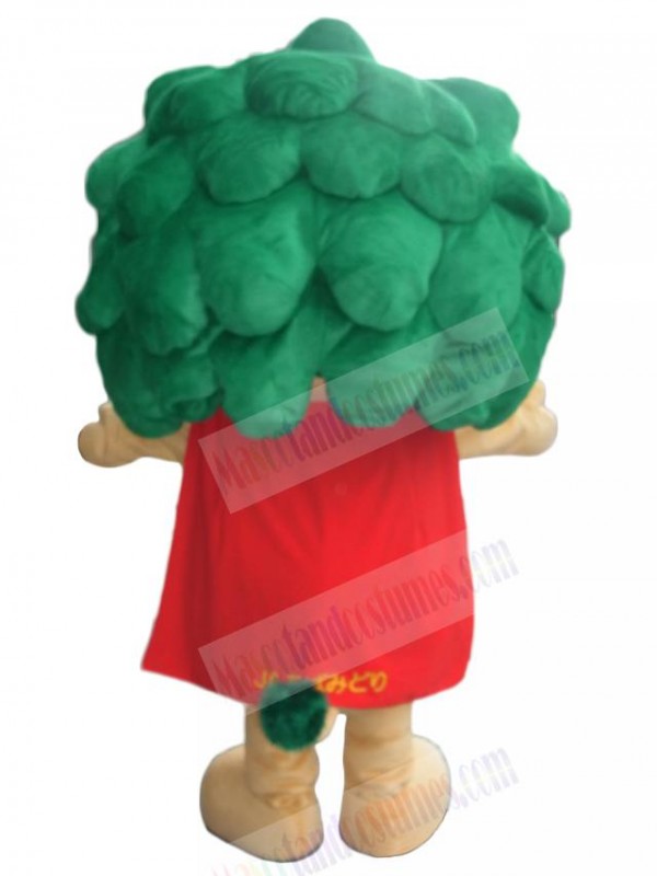 Lion mascot costume
