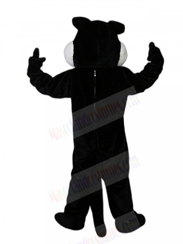 Wolf mascot costume