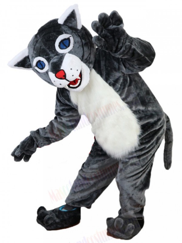 Wildcat mascot costume