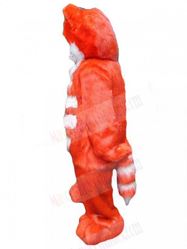cat mascot costume