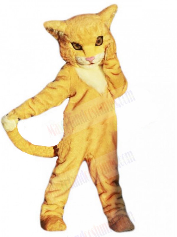 cat mascot costume