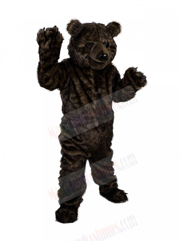 Bear mascot costume