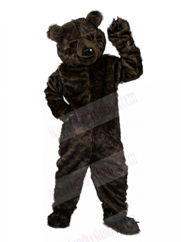 Bear mascot costume