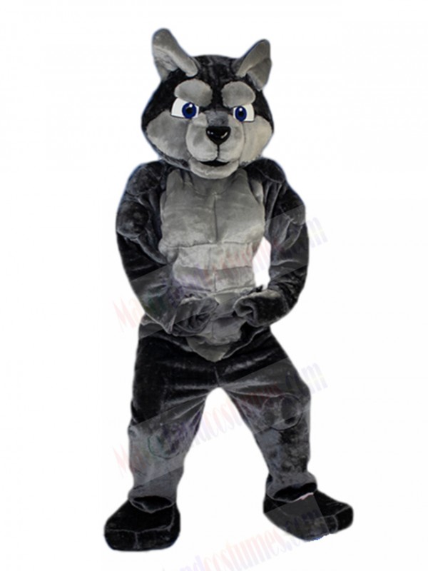 wolf mascot costume