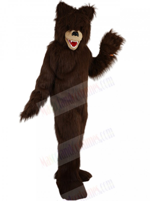 Bear mascot costume