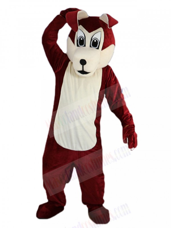 wolf mascot costume