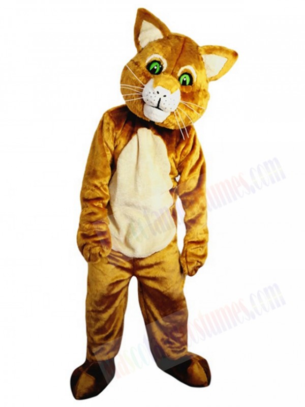 cat mascot costume
