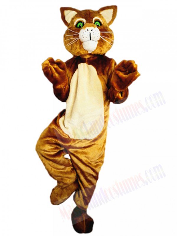 cat mascot costume