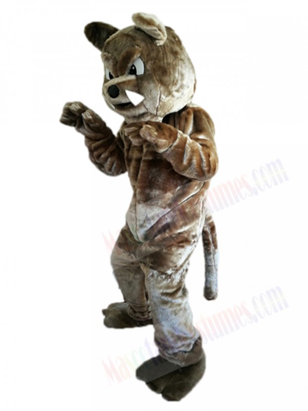 dog mascot costume