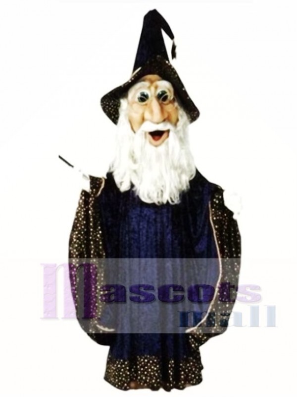 Wizard Mascot Costume